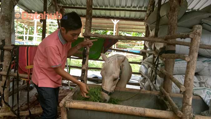 Peternakan Terpadu Selfie Animal Farm