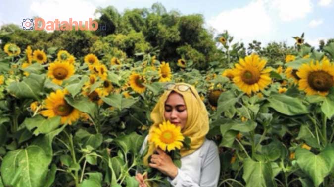 Tempat Pemandangan di Taman Wisata Matahari Tangerang Selatan