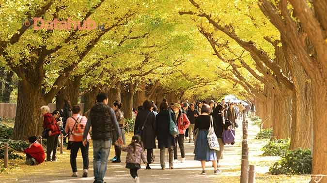 Wisata Musim Semi Melihat Sakura di Jepang