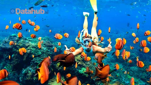 6. Diving di Pulau Rubiah Aceh Selatan