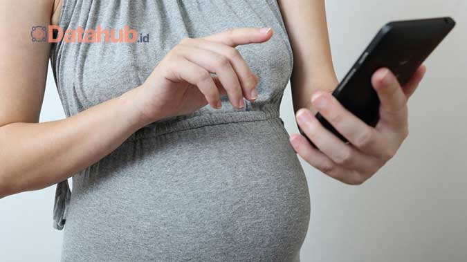 Fitur Utama Aplikasi Kehamilan