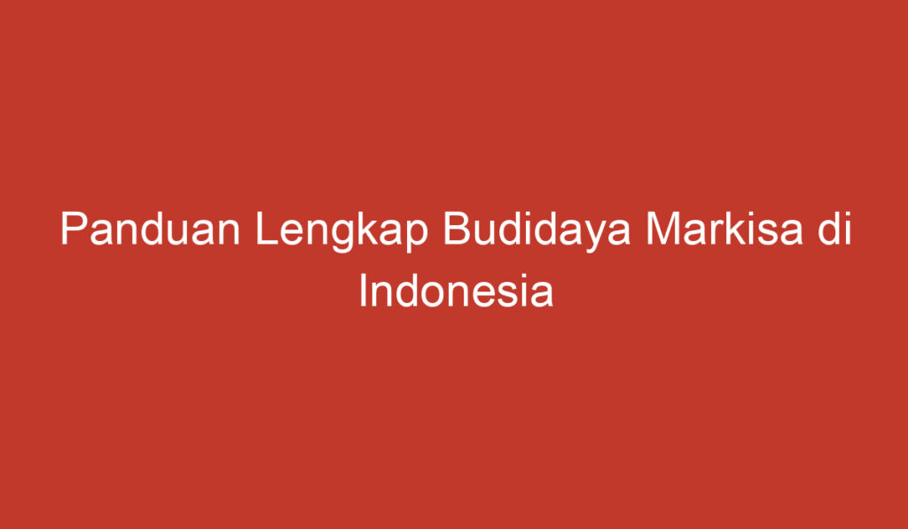 Panduan Lengkap Budidaya Markisa di Indonesia